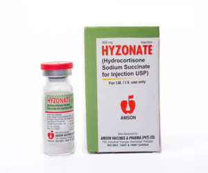 Hyzonate Inj 500 MG 1 Vial