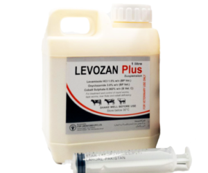 Levozan Plus Suspention 150ML