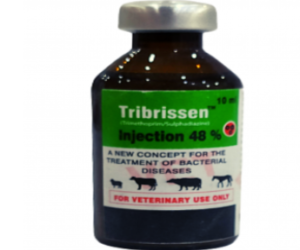 Tribrissen Injection 10ML